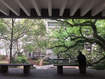 Rear view of man walking on bridge in park