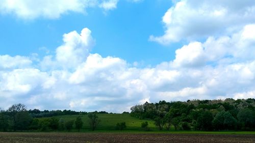 Scenic view of field against sky