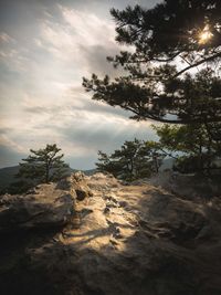 Rock formation amidst trees against sky