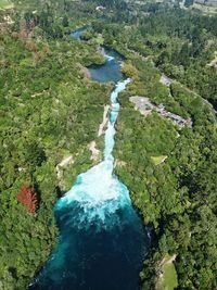 Scenic view of green landscape