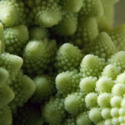 Full frame shot of berries