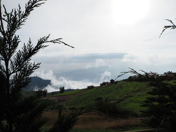 Scenic view of landscape against sky