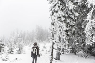 Rear view of hiker looking at frozen trees in forest