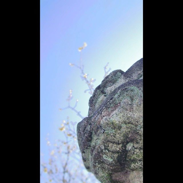 clear sky, copy space, statue, low angle view, sky, sculpture, nature, close-up, beauty in nature, tree, rock - object, human representation, no people, rock formation, tranquility, silhouette, day, outdoors, blue, sunlight