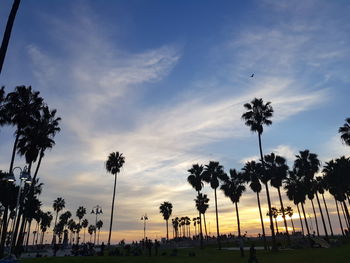 Silhouette palm trees against sky during sunset