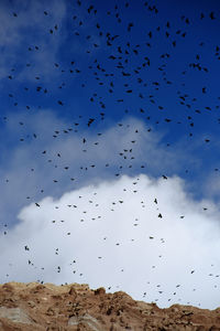 Low angle view of birds flying against cloudy sky