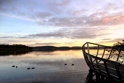 View of birds on lake against cloudy sky