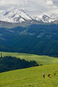 The endless, verdant kalajun prairie in xinjiang