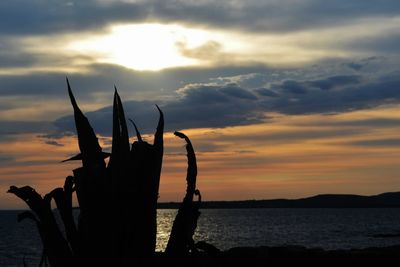 Scenic view of sea against cloudy sky at sunset