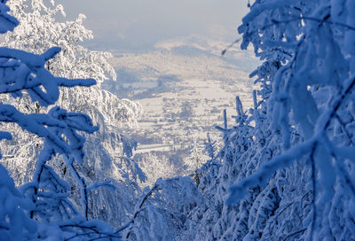 Aerial view of snow covered land and mountains