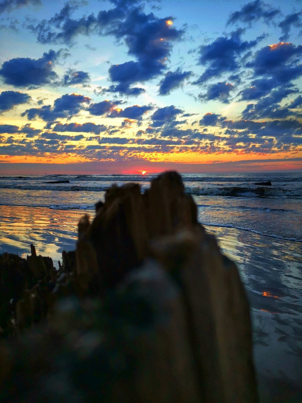 REAR VIEW OF WOMAN ON BEACH AT SUNSET