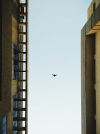 Directly below shot of buildings against bird flying in clear sky