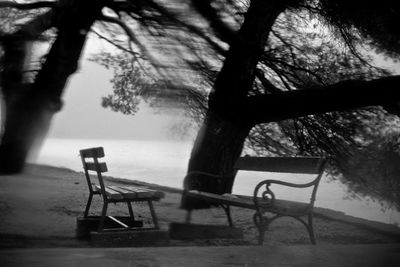 Empty bench in park