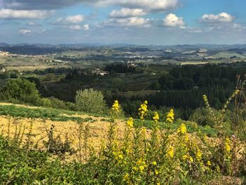 Scenic view of landscape against sky