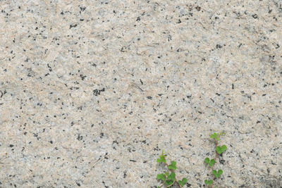 Full frame shot of stone wall
