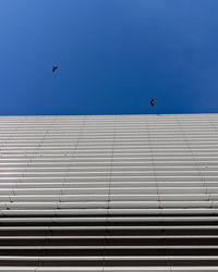 Low angle view of bird flying against building