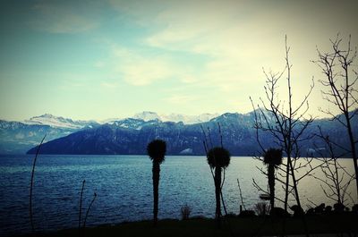 Scenic view of lake and mountains