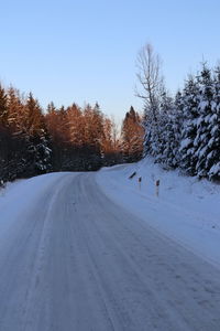 Snow covered road amidst trees against sky