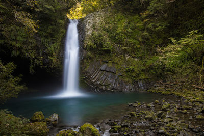 Close-up of waterfall in forest
