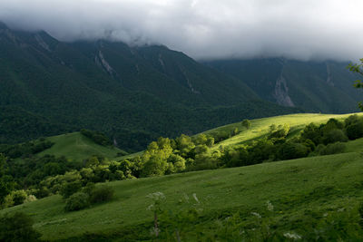 Landscape with mountain range in background