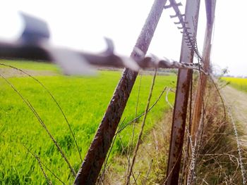 Close-up of farm against sky