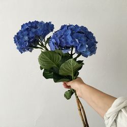 Close-up of hand holding flower over white background