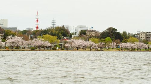 River with buildings in background