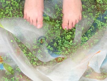 Low section of person holding plants