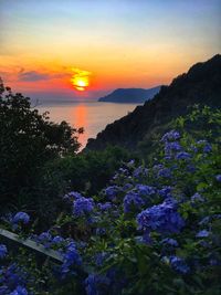 Scenic view of sea against sky during sunset