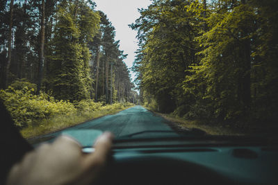 Low section of man in forest