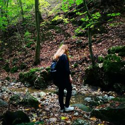 Rear view of woman walking in forest