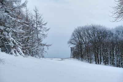 Winter landscape