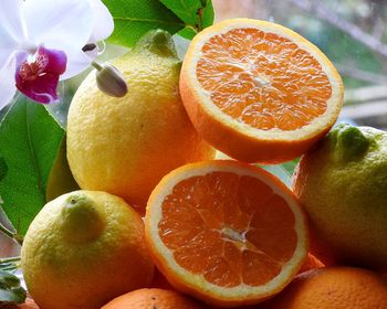 Close-up of orange fruits