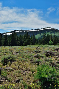 Scenic view of landscape against sky