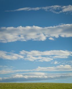 Beautiful blue sky with white clouds with growing crops below located on a farm in england.