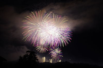 Low angle view of firework display at night