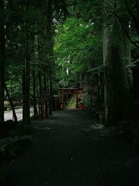 Road passing through trees