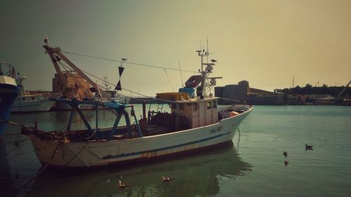 Boats in harbor