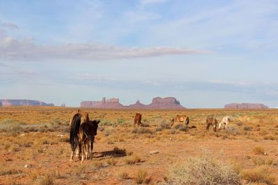 Monument valley