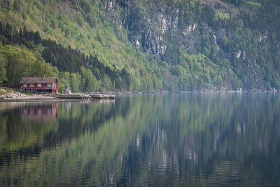 Scenic view of lake by trees