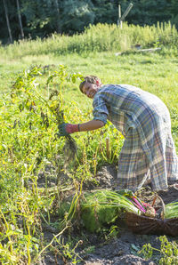 Smiling woman standing in farm