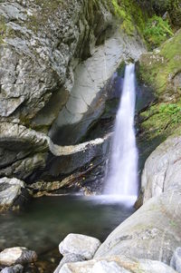 Scenic view of waterfall in forest
