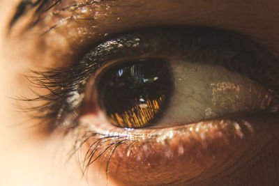 Close-up of woman eye