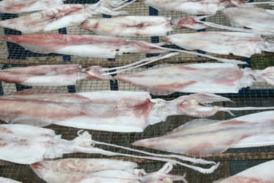 Full frame shot of fish for sale at market