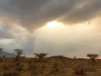 Scenic view of landscape against sky