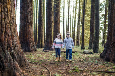 Rear view of friends standing amidst trees in forest
