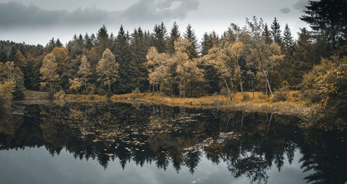 Trees by lake against sky during autumn