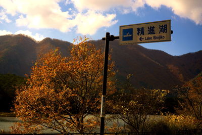 Road sign by trees against sky