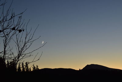 Silhouette of tree against sky during sunset