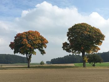 Trees on field against sky during autumn